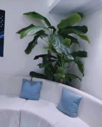 -健身堂科技美肌SPA
