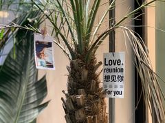 -春莱·老挝咖啡·泰式奶茶(钟楼店)