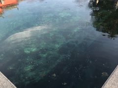 -百脉泉景区