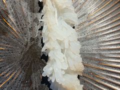 -蟹犇•帝王蟹雪蟹(陆家嘴店)