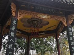 -梅园