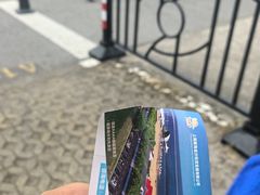 -碧海金沙