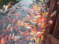 -兴福老面馆(寺路街店)