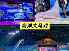 -哈尔滨波塞冬海底世界