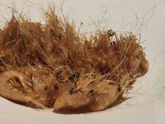-狮王府淮扬菜(夫子庙老门东店)