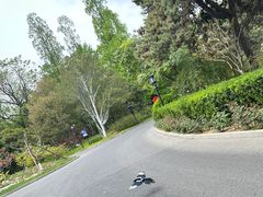 -钓鱼台国宾馆