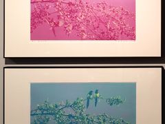 -上海虹桥当代艺术馆