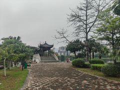 -飞来湖湿地公园