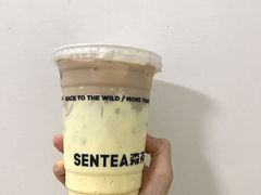 -森茶(湛江万达店)