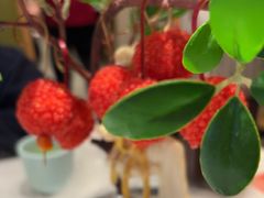 -奔跑吧陕菜·盛世长安(民乐园万达店)