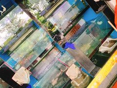 -全乐鱼馆·淳牌有机鱼直营店