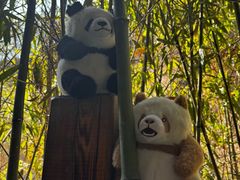 -栾川竹海野生动物园