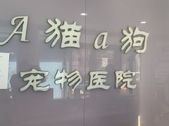 -A猫a狗全科·犬猫异宠·芥西宠物医院(南开总院)