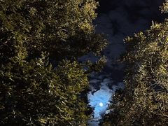 -佳兆业国际影城(鞍山店)