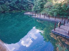 -祁门牯牛降观音堂风景区