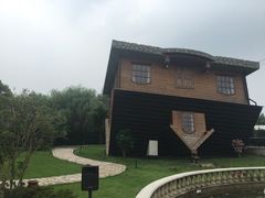 -金山农民画村-枫泾波兰倒置屋