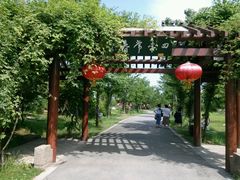 -鹅湖玫瑰文化园