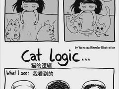 -红星电影世界开元地中海店(RealD杜比全景声)