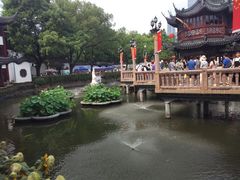 -老城隍庙食品商店(豫园商城店)