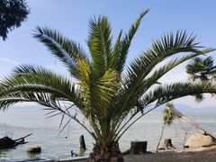 -捞渔河湿地公园