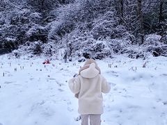 -武陵山森林公园