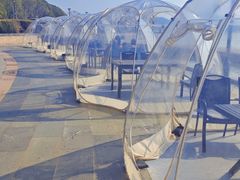 -水上明月·湖景餐厅