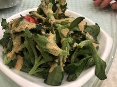 养生冰草-新恬乐大酒家(沧达大厦店)