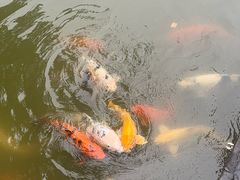 -珠海圆明新园