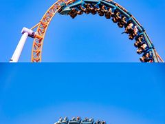 -广州长隆野生动物世界