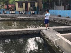 -双新垂钓园
