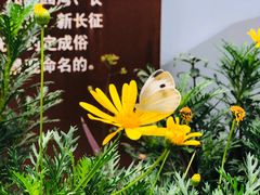 -苏州河梦清园环保主题公园