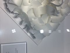 -BLACKSWAN黑天鹅(环球店)