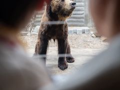-灵玲国际马戏城