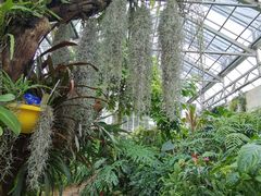 -国家植物园南园