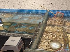 -大闫家烧烤·小海鲜家常菜(郑庄店)