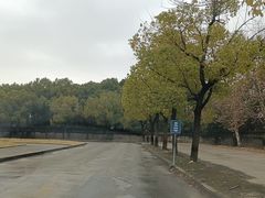 -胜华驾校·小猫学车(银都店)