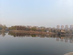 -前关湿地公园