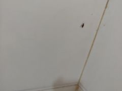 -蓉城西二道无名冒菜(西二道街店)