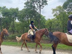 -上海海湾国家森林公园