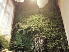 -南城十里潮汕鲜牛火锅·鲜虾生滚粥(融汇老商埠店)