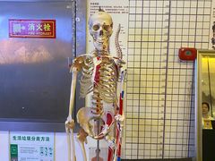 -席仁堂推拿按摩脊柱调理(世纪科贸大厦店)