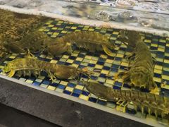 -顺德了能馆(虎门店)