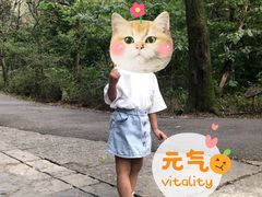 -皇藏峪国家森林公园