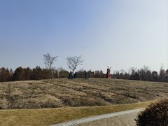 -同里国家湿地公园