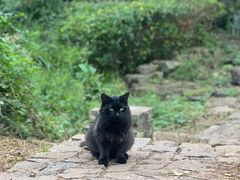 -南京市江宁方山