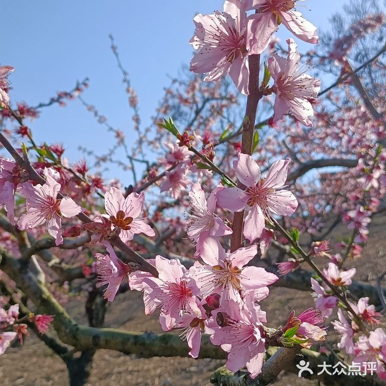 趁着蓝天去就对了