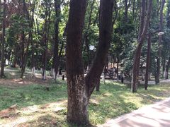 -象山森林公园