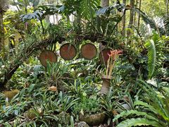 -中国科学院西双版纳热带植物园