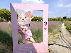 -广东花都香草世界旅游度假区
