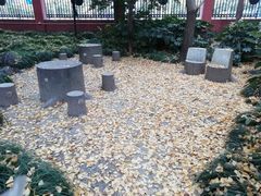 -复旦大学(张江校区)